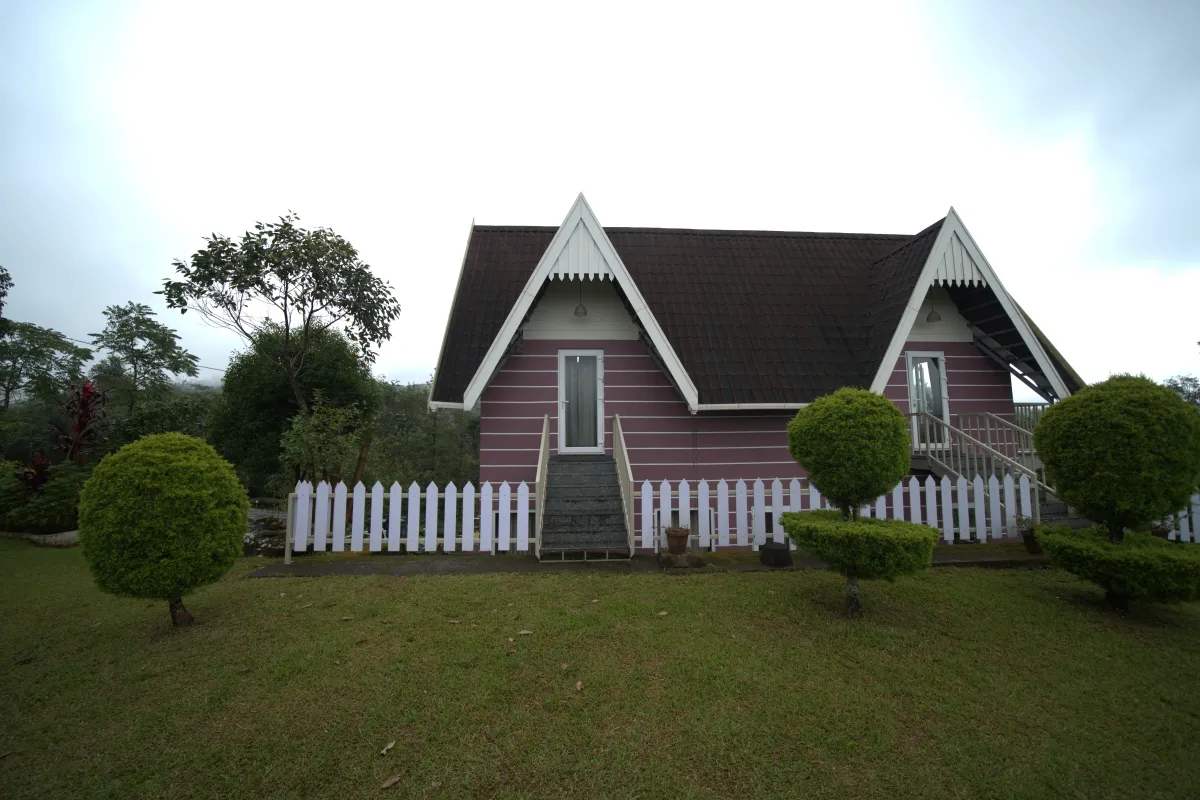 Duplex Haven -  1